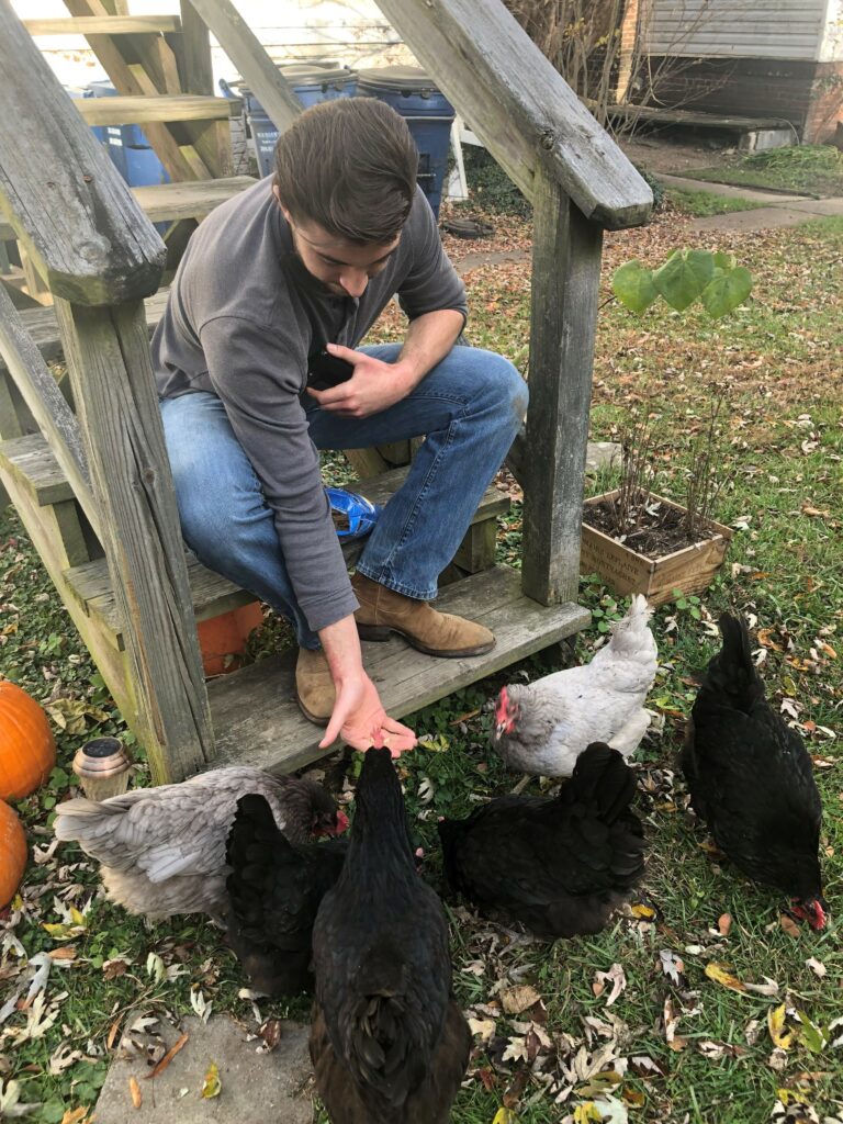 Man feeding chickens by hand in the backyard