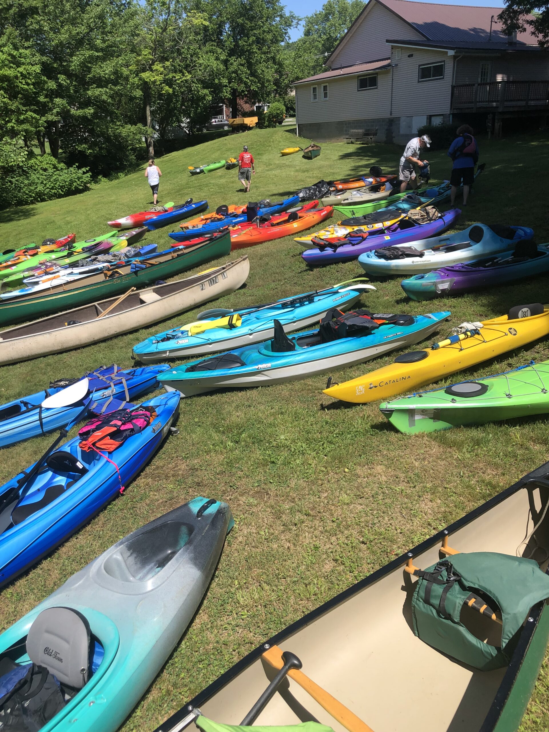 kayaks on shore