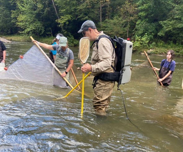 electrofishing